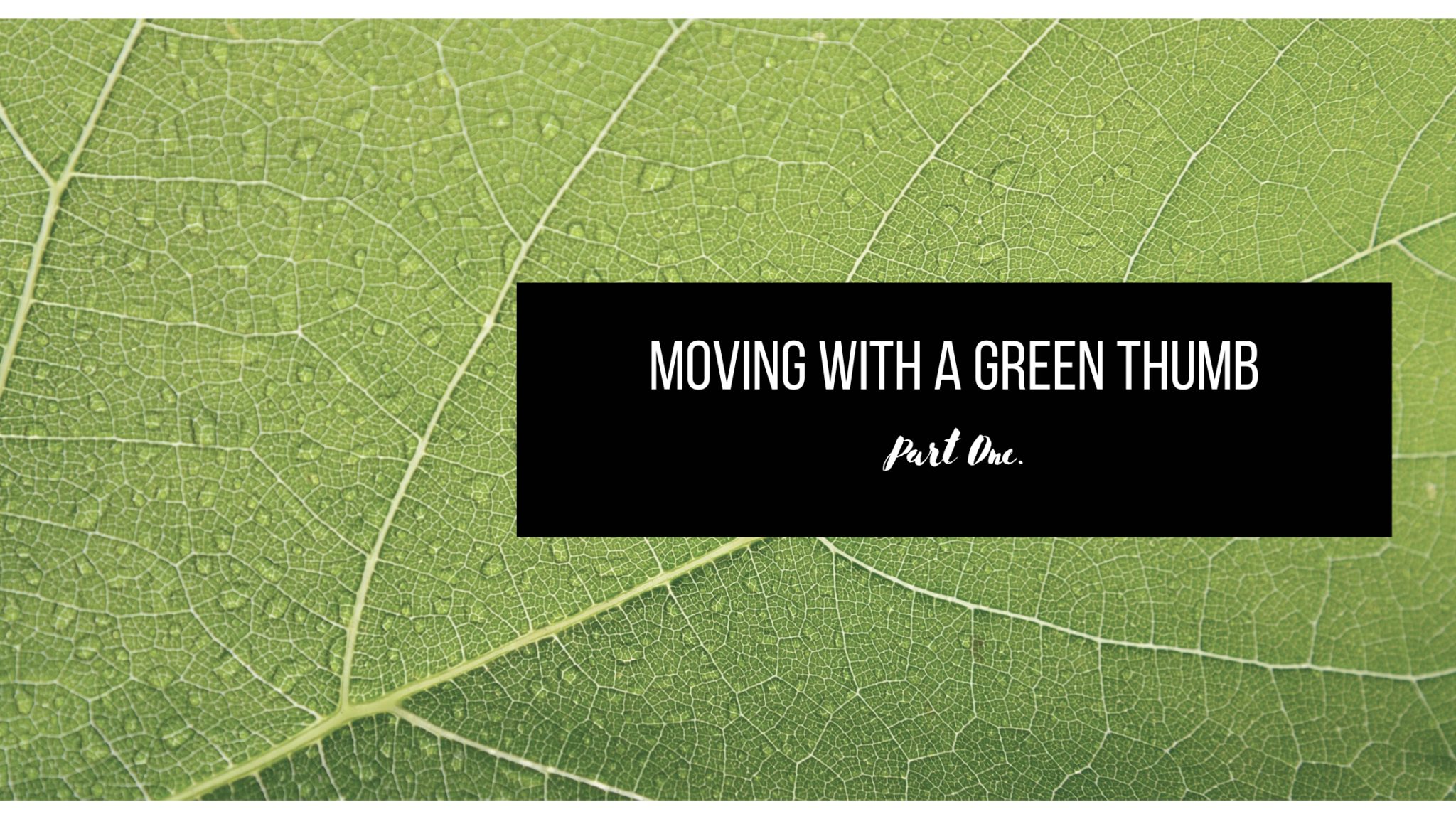 Moving with a green thumb